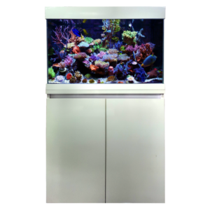 Aquarium Imported (Elegance Range)