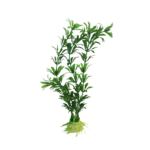 Plant 3