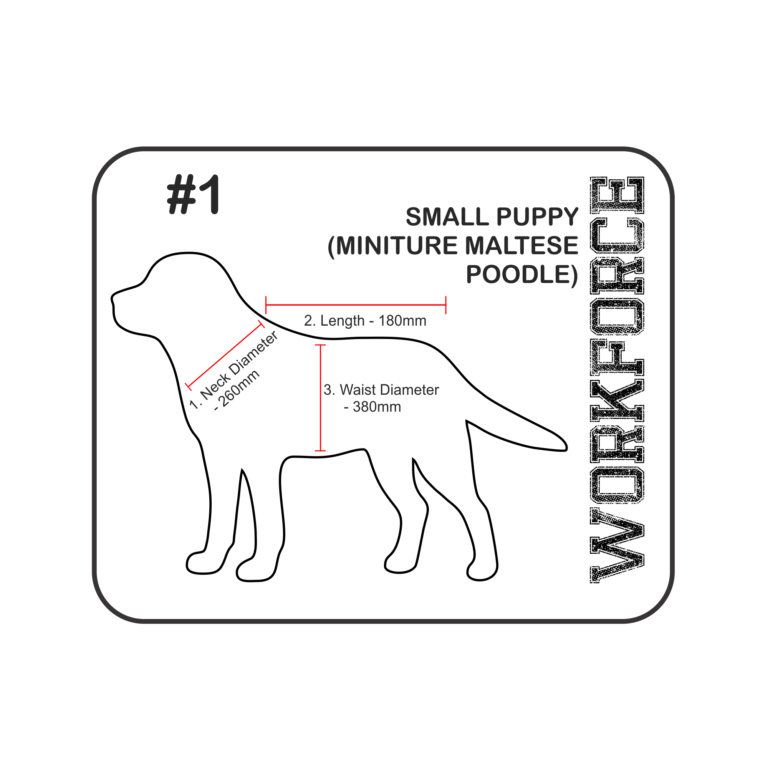 DOG JACKET # 1 - DENIM / SHEEPSKIN - Thumbnail Image 2