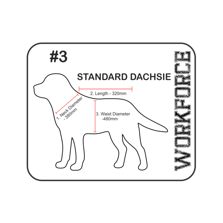 DOG JACKET # 3 - DENIM / SHEEPSKIN - Thumbnail Image 2