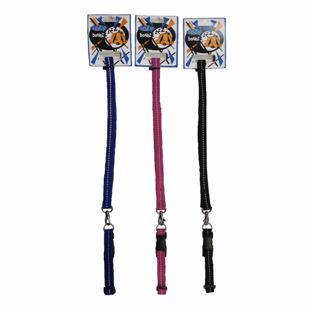 PUPPY COLLAR & LEAD SET 12x1200mm - Image 1