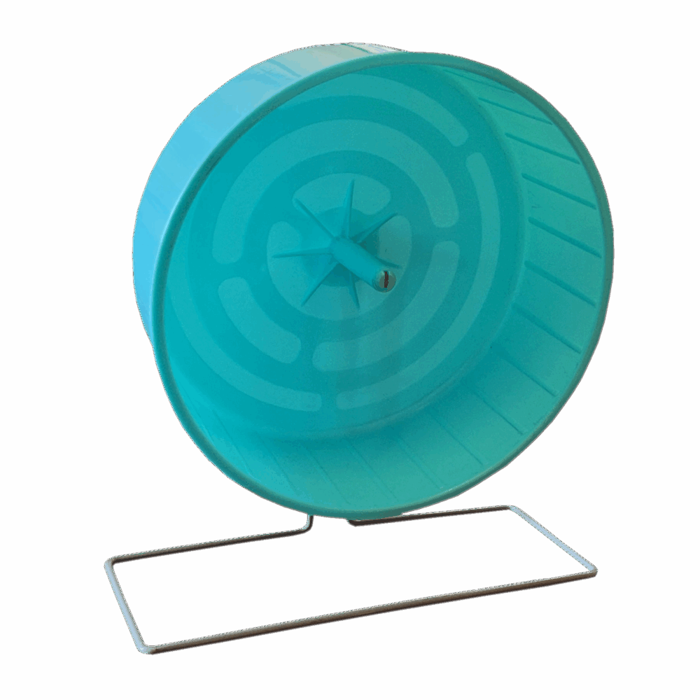 EXCERCISE WHEEL X-LARGE - 300mm - Image 1