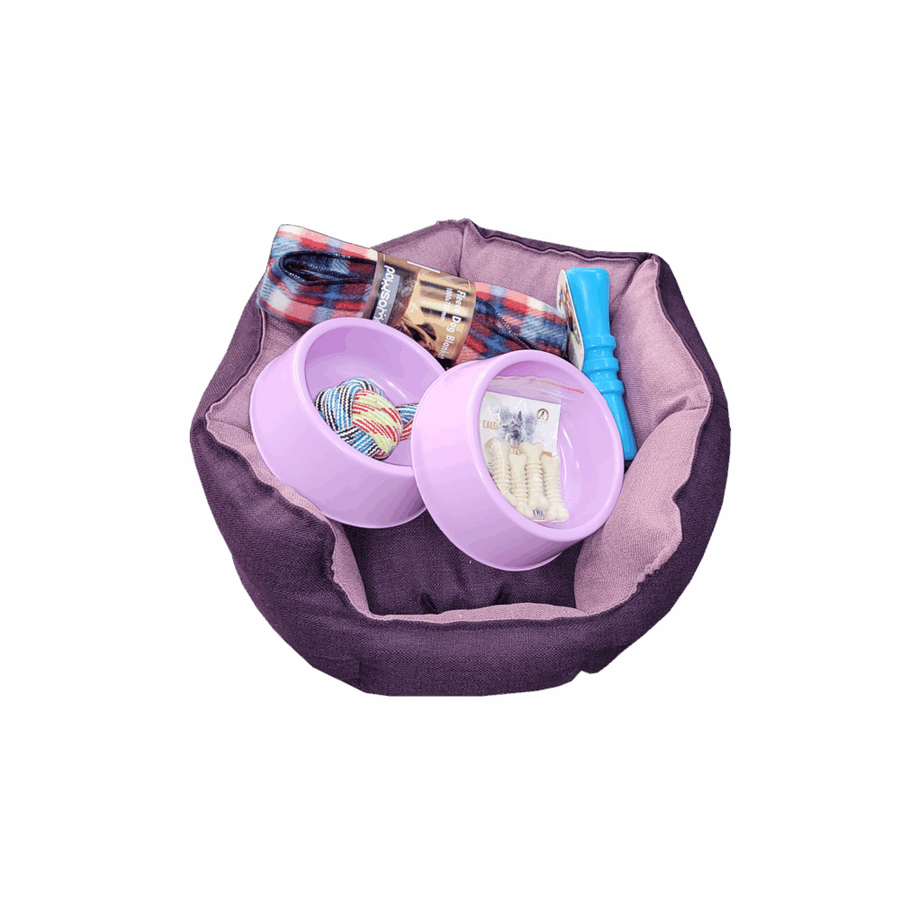 PUPPY STARTER KIT SMALL BREED - Image 1