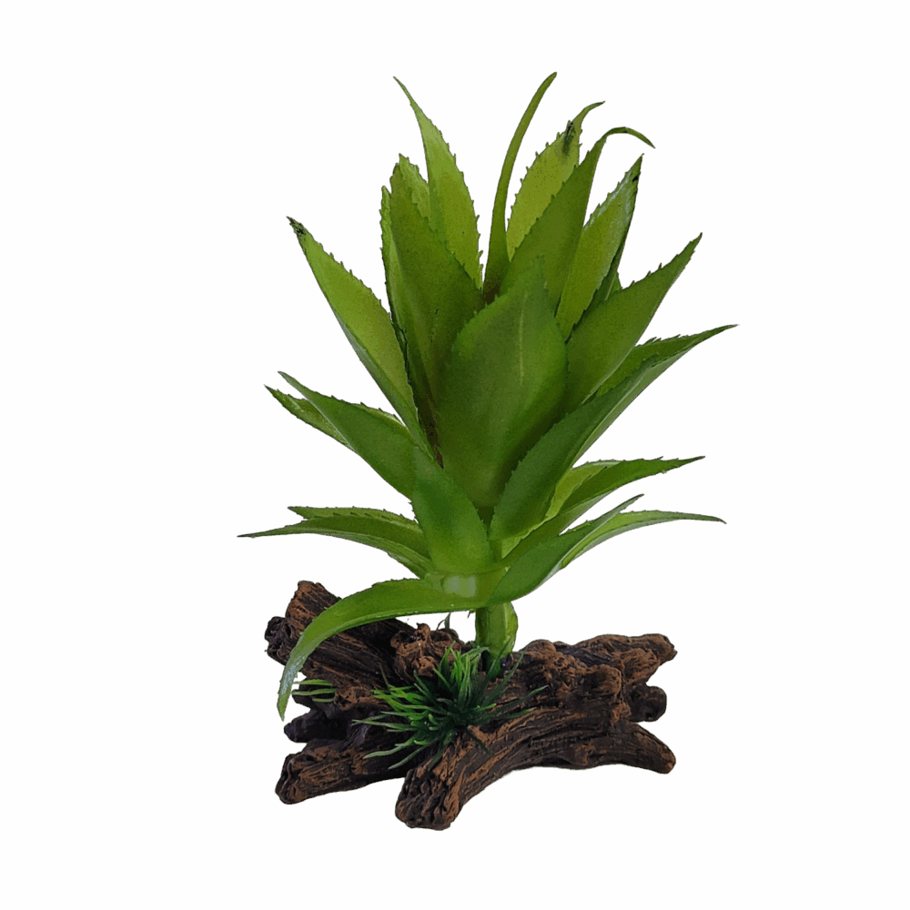PLASTIC PLANT / 5 - PP9919 - Image 1