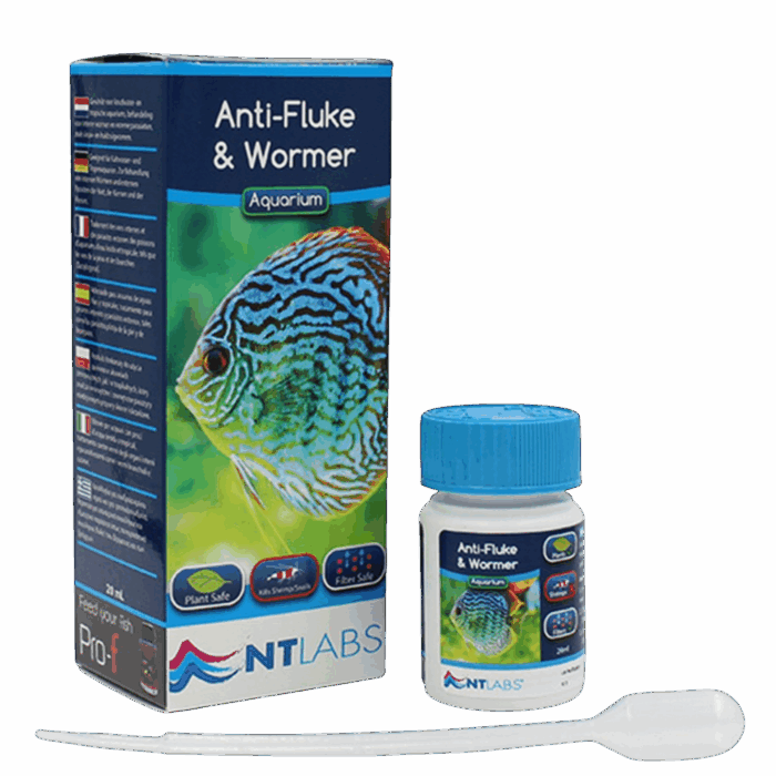 NTL0480