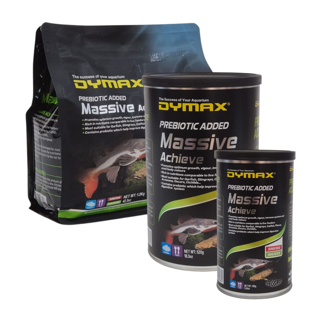 MassiveAchieve