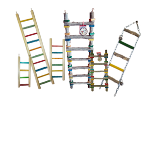 Ladders