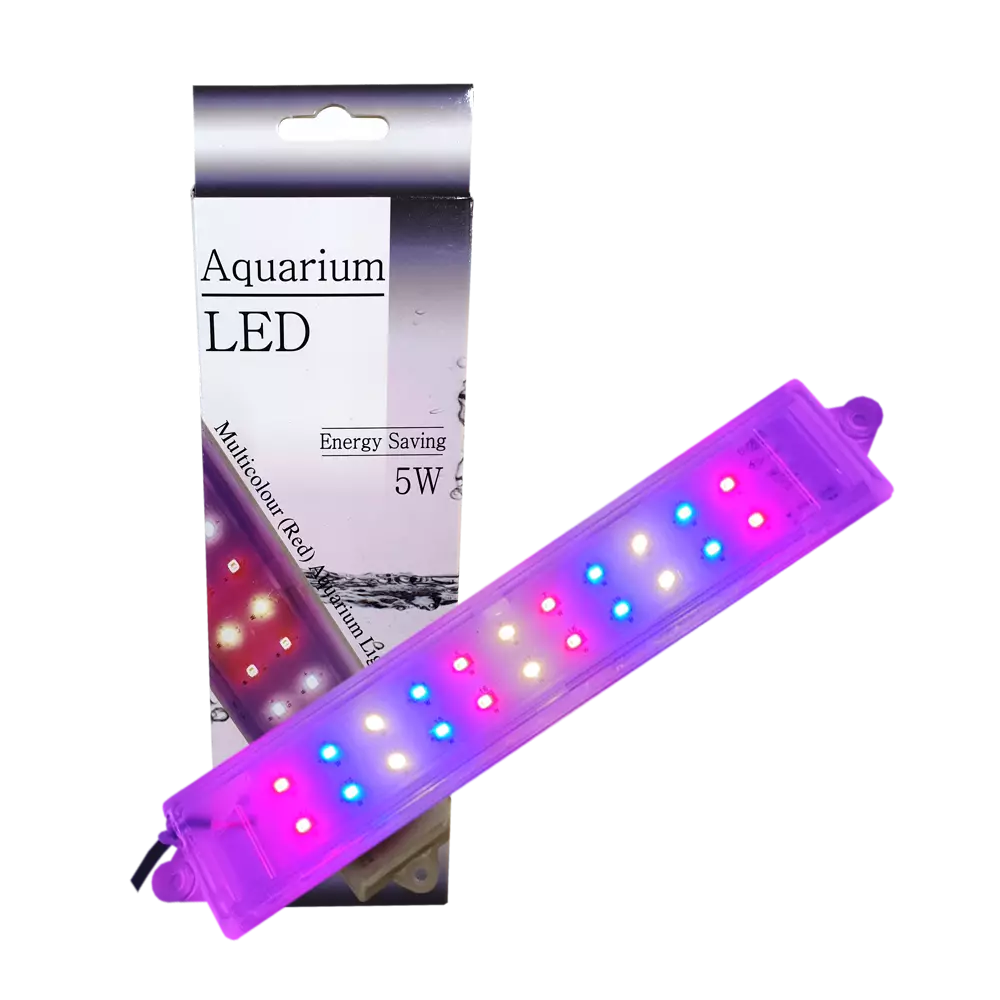 LED LIGHT 5W (MULTI COLOUR) - Image 1