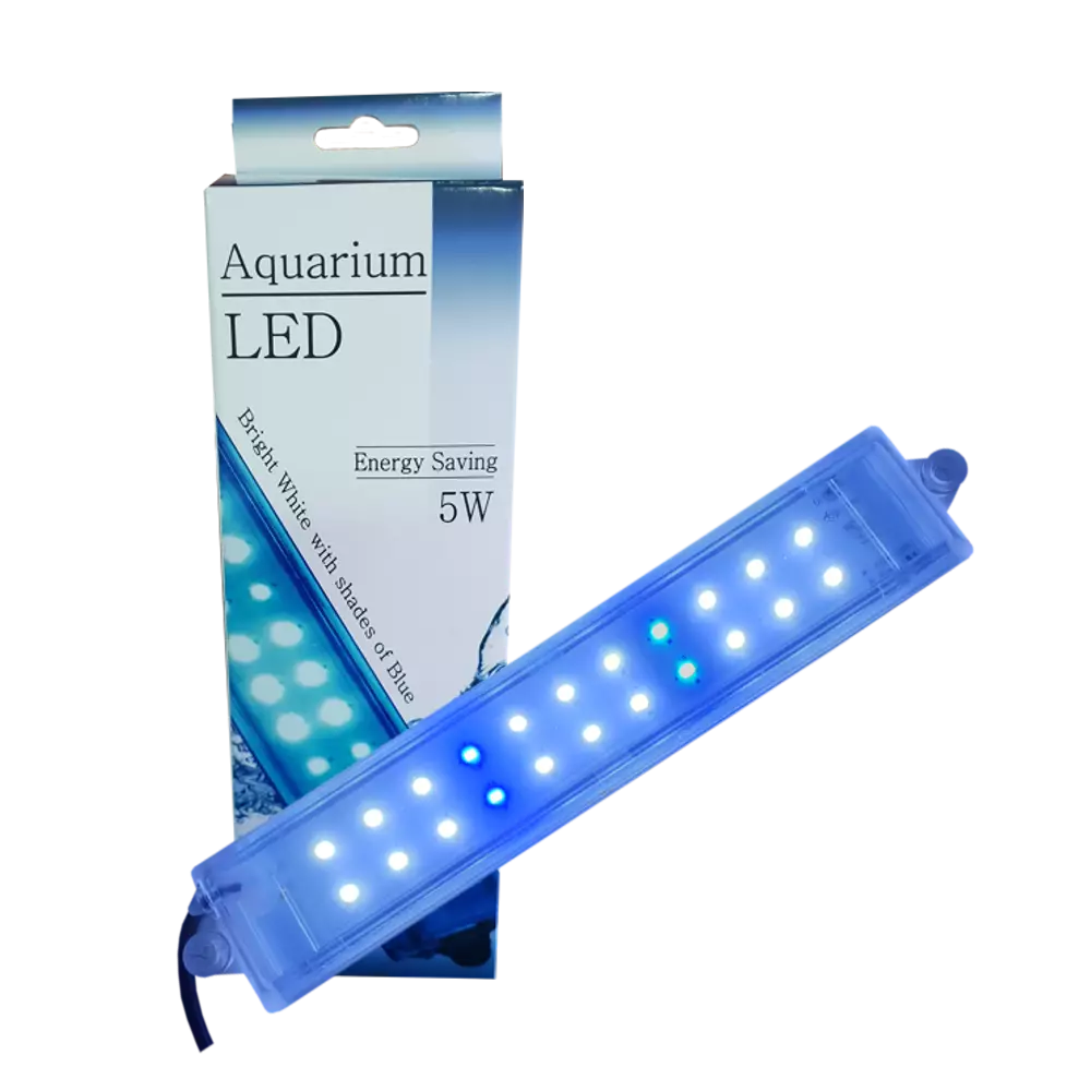 LED LIGHT 5W (WHITE & BLUE) - Image 1