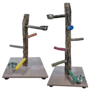 PARROT STAND