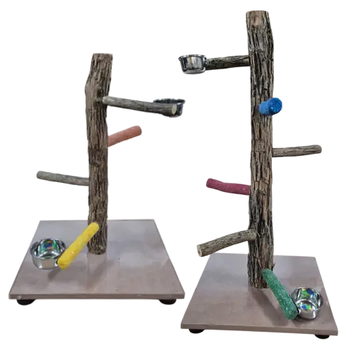 Parrot Stands